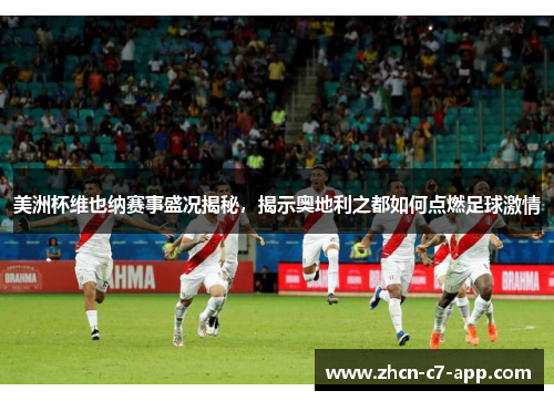 美洲杯维也纳赛事盛况揭秘，揭示奥地利之都如何点燃足球激情