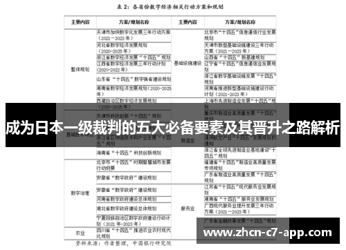 成为日本一级裁判的五大必备要素及其晋升之路解析