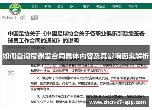 如何查询穆谢奎合同具体内容及其影响因素解析
