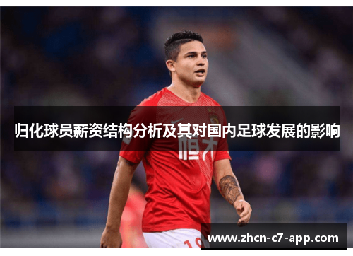 归化球员薪资结构分析及其对国内足球发展的影响