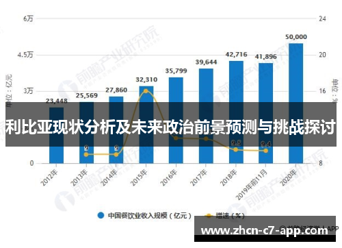 利比亚现状分析及未来政治前景预测与挑战探讨