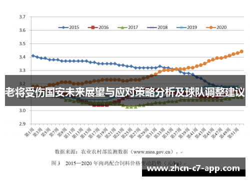 老将受伤国安未来展望与应对策略分析及球队调整建议