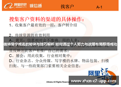 佩特曼宁成名的秘诀与技巧解析 如何通过个人努力与战略布局取得成功